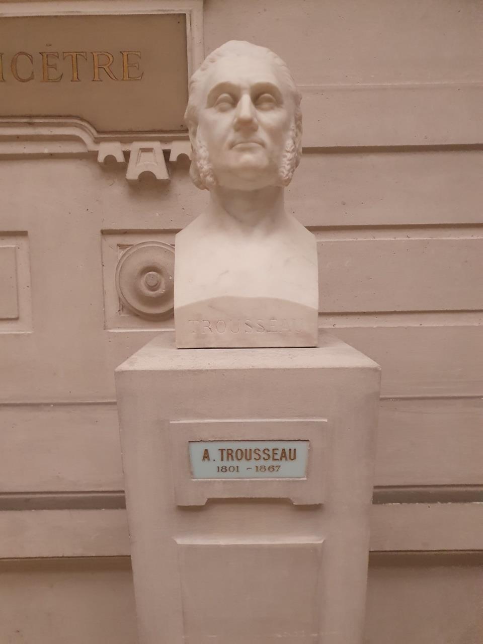 Armand Trousseau's bust, Académie Nationale de Médecine, Paris (by Magdalena Mazurak).jpg